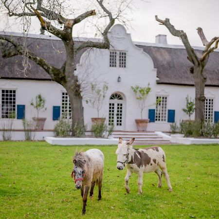 San Gabriel Homestead Somerset West Eksteriør billede