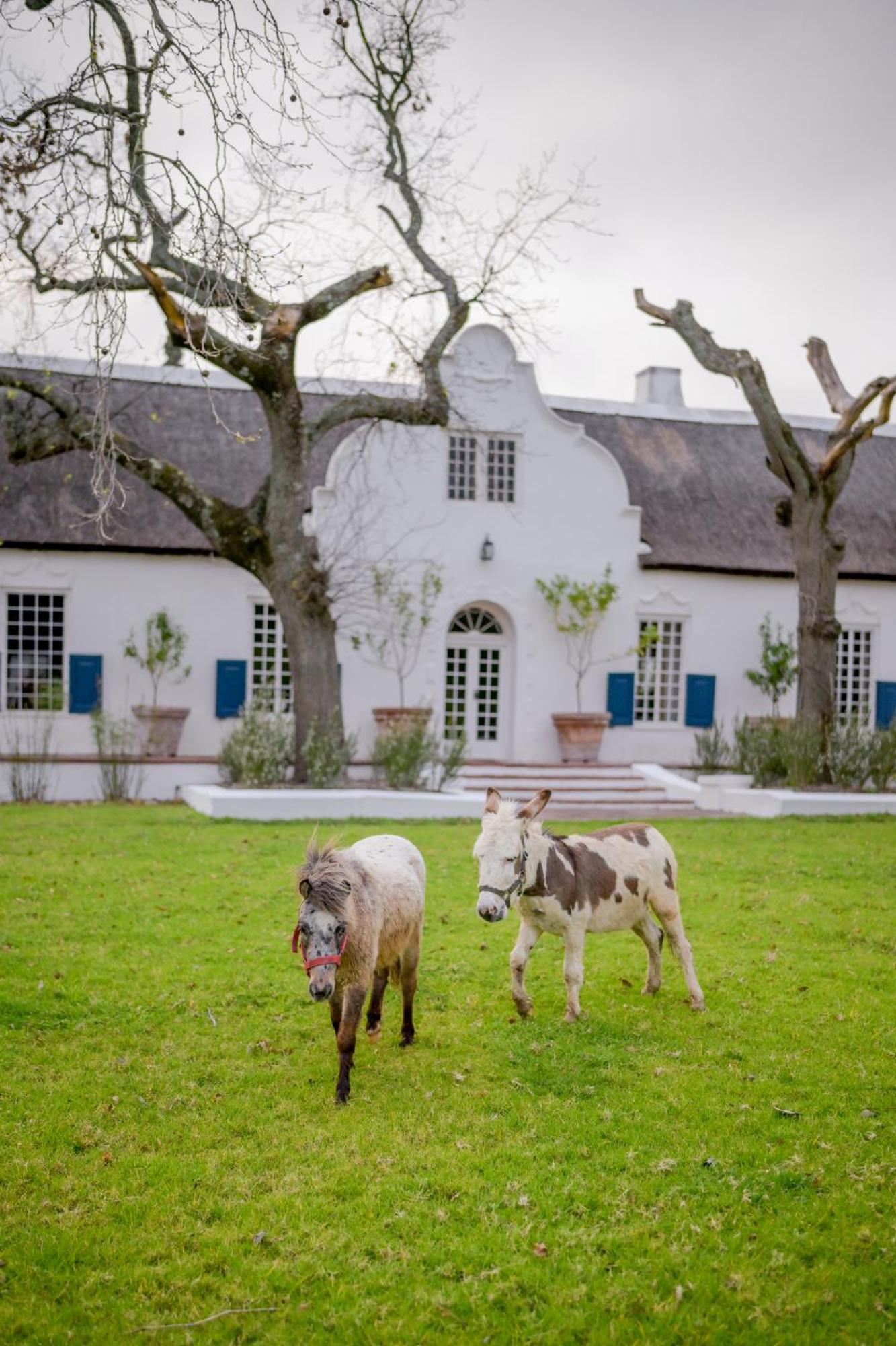 San Gabriel Homestead Somerset West Eksteriør billede
