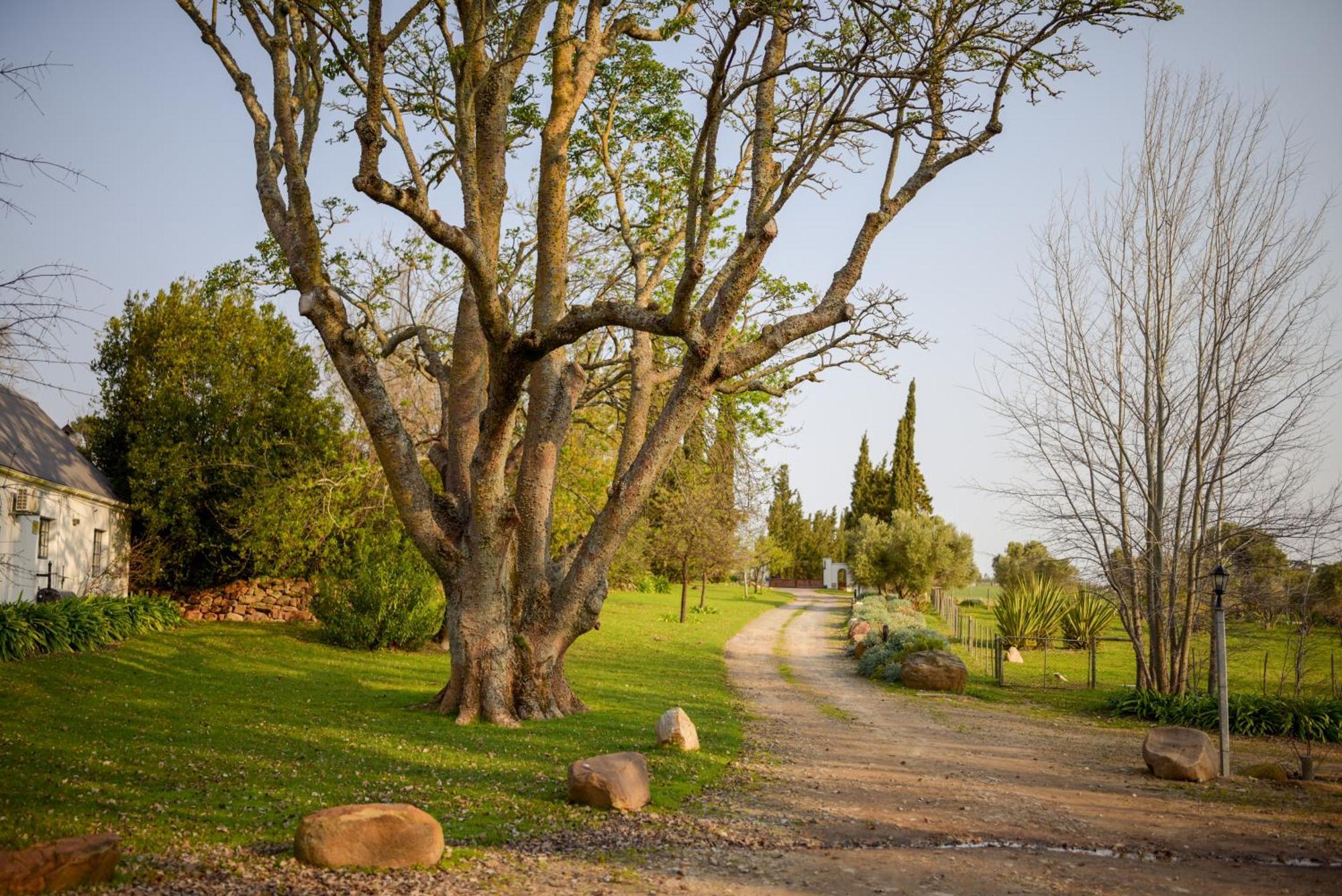 San Gabriel Homestead Somerset West Eksteriør billede